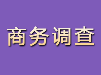 卢氏商务调查